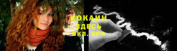 a pvp Няндома