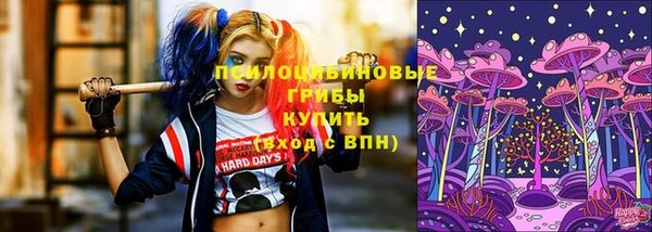 a pvp Няндома