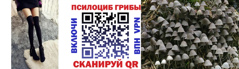 купить   Советский  Галлюциногенные грибы ЛСД 